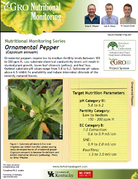 Ornamental Pepper