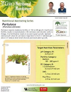 Portulaca