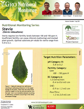 Stevia