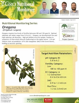 Oregano