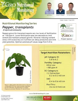 Pepper, transplants