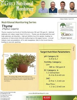 Thyme